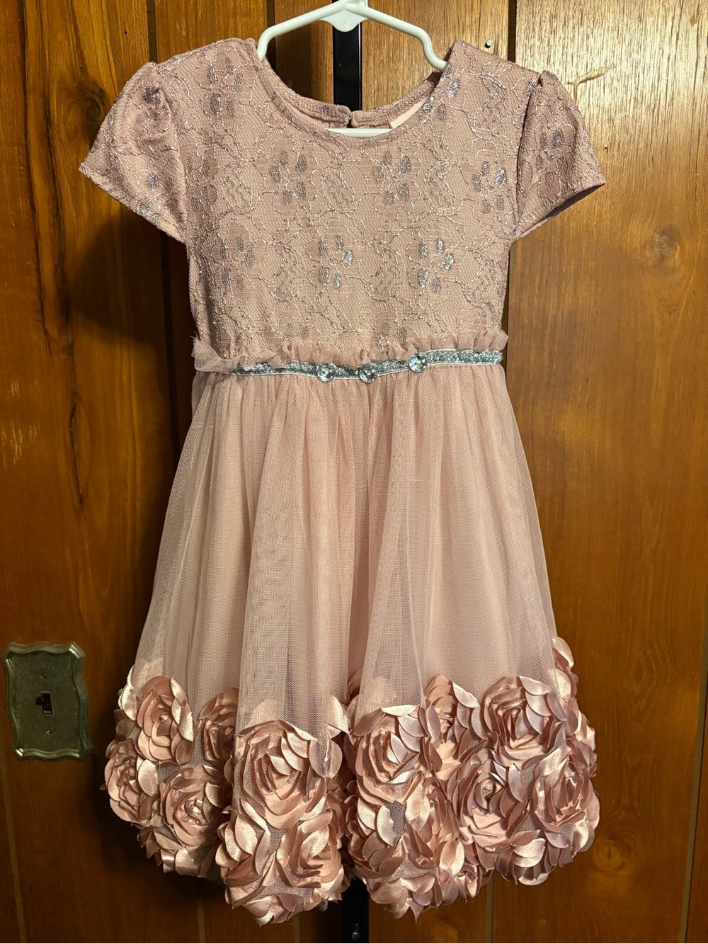 Little Lass Dusty Rose Lace & Rose Applique Party Dress